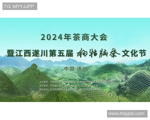 遂川足球比赛直播平台官网全方位解析与实时赛事更新服务介绍