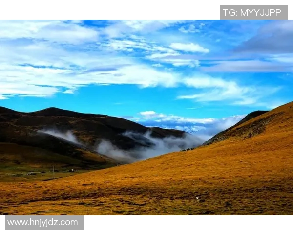 矫喆的成长之路与人生哲学探讨：从平凡到卓越的心灵旅程